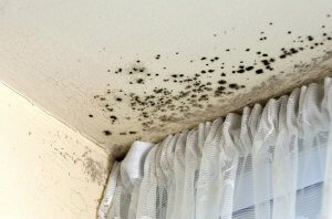 Odors cause by mold and damp staining painted wall surface around an internal home window.